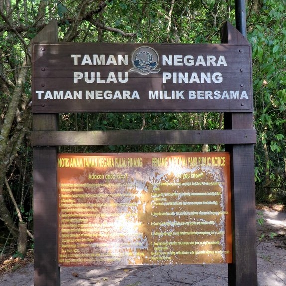 Jungle Trek in Penang National Park