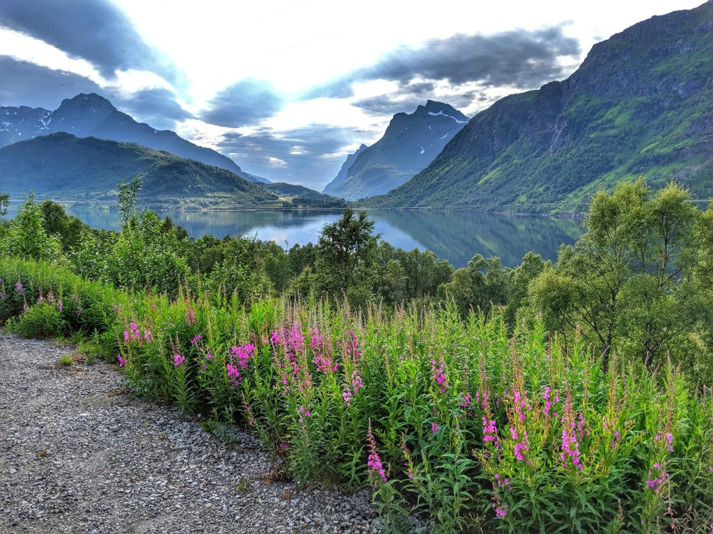 Norwegian Island Time: Senja & Lofoten and the Joy of Norwegian&nbsp;Ferries