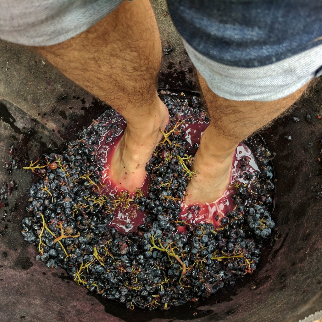 Ooooh I Could Crush a Grape* – A Couple of Trips to Valencia Wine&nbsp;Country