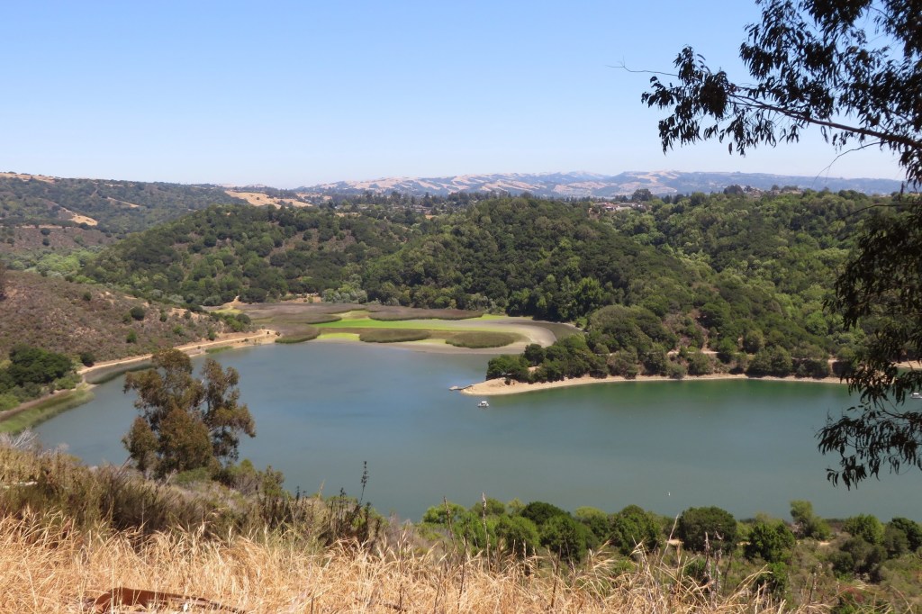 Catching Up with Friends in San Francisco Bay Area