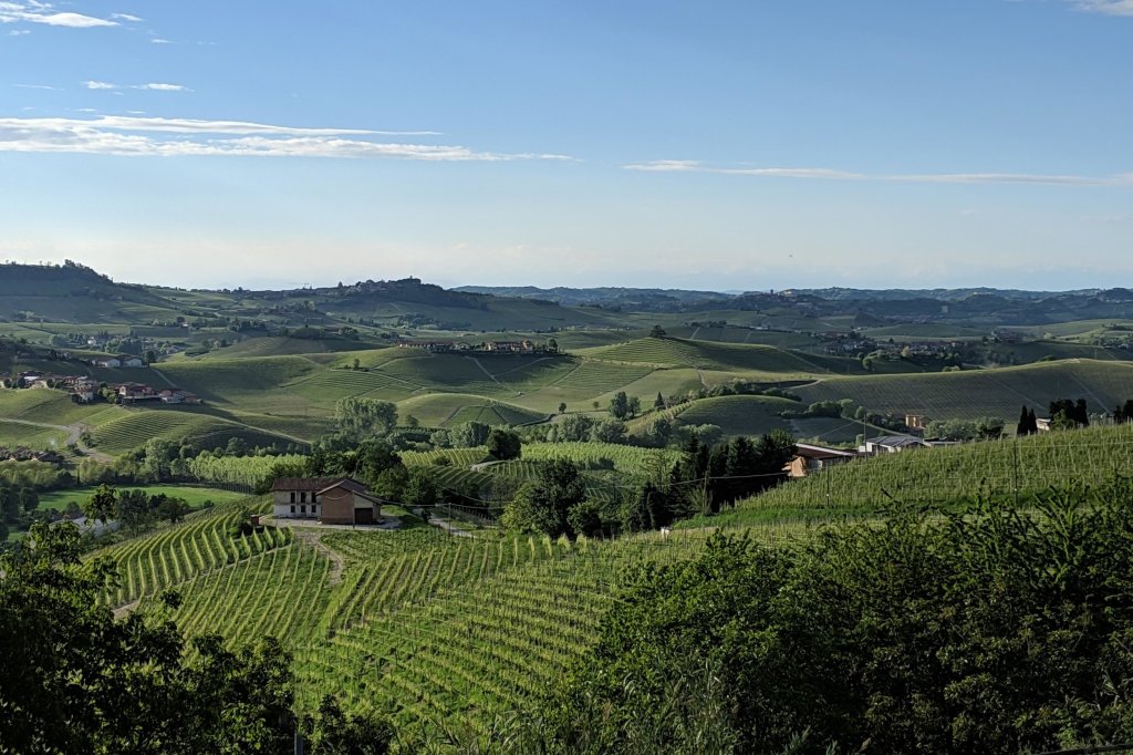 Finding our Bliss in Piedmont, Italy