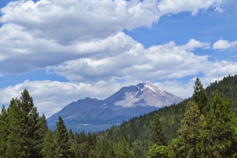 Too Hot to Handle….&nbsp;Phew!