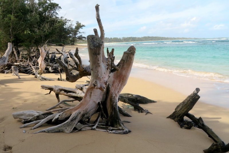 Reflections on Our First 6 months and The Relentless Pursuit of&nbsp;Happiness